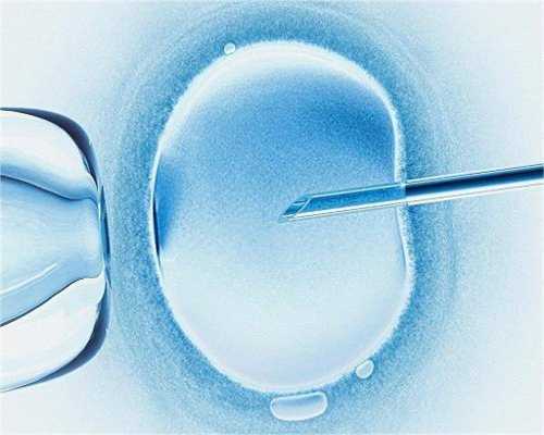 53岁借卵生子_52岁供卵生子,美国试管婴儿高龄如何评估卵巢功能?